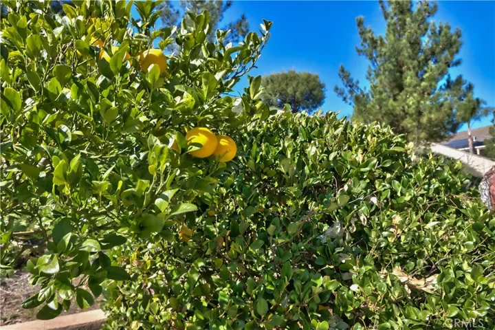 29263 Woodwind Court, Menifee, California 92584
