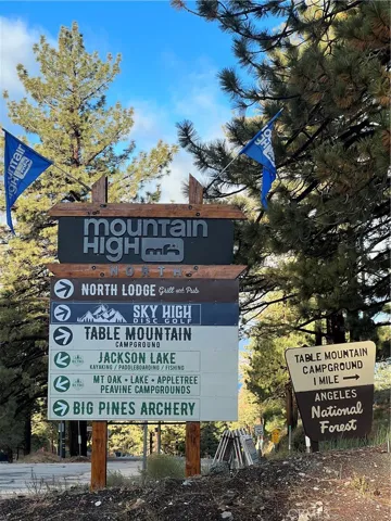 1259 Evergreen Road, Wrightwood, California 92397