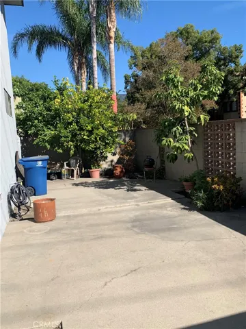 Shared Patio With Lemon Tree and Space for Potted Garden
