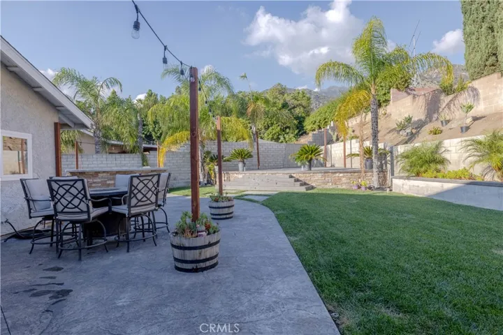 Backyard Views