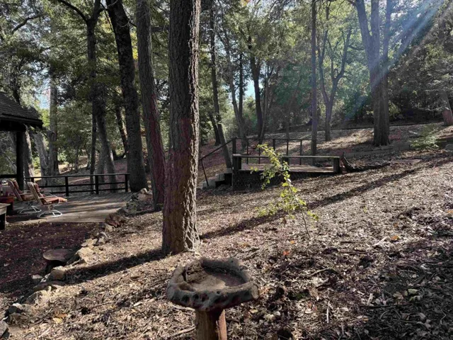 33550 Bailey Meadow Road, Palomar Mountain, California 92060