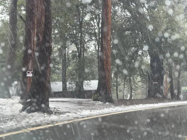 33550 Bailey Meadow Road, Palomar Mountain, California 92060