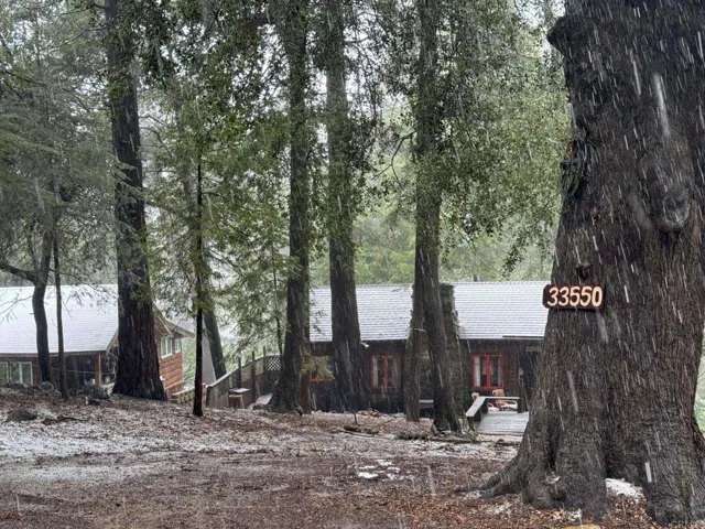 33550 Bailey Meadow Road, Palomar Mountain, California 92060