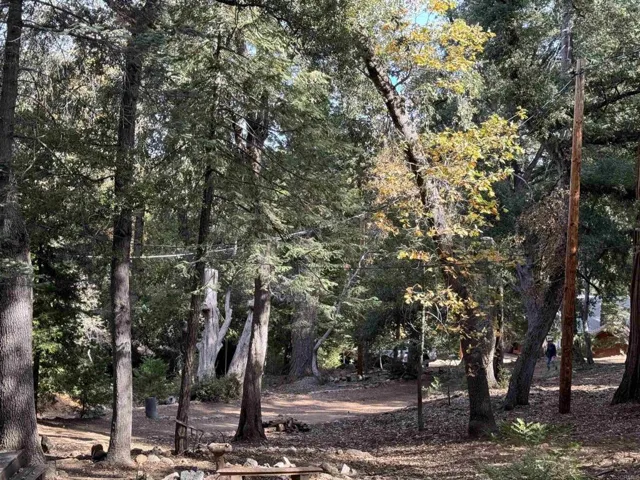 33550 Bailey Meadow Road, Palomar Mountain, California 92060