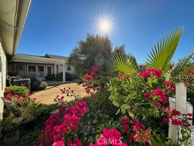 LUSH GARDENS