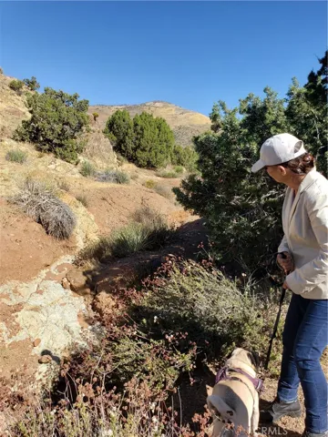 dry creek bed