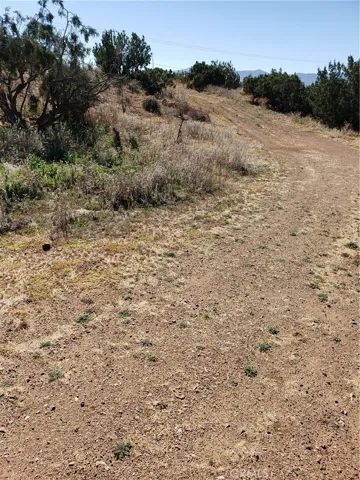 road from the front of the property to a plateau mid property