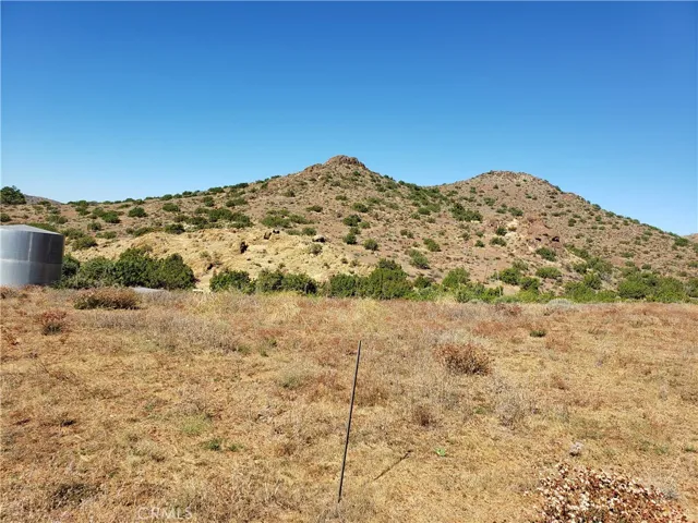 shot from the street. property goes to the top of the hill