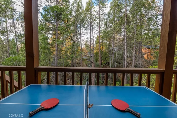 ping pong anyone