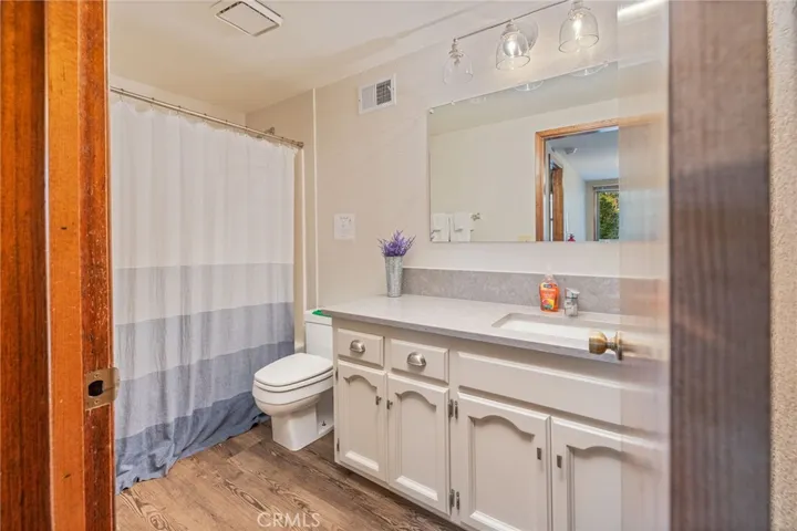 guest bathroom lower level