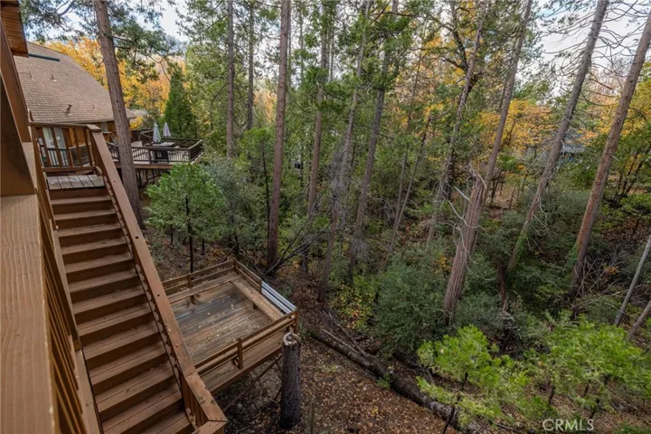 lower deck and back yard area