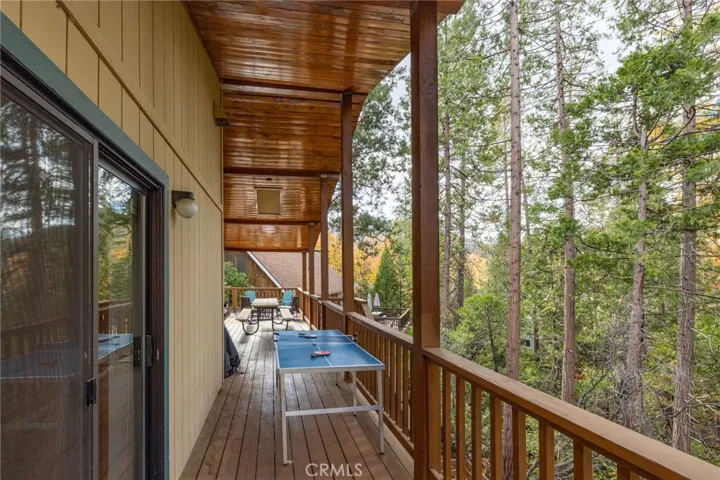lower level deck off family room