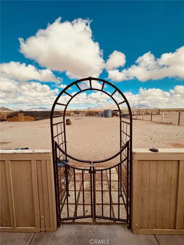 View from the back door