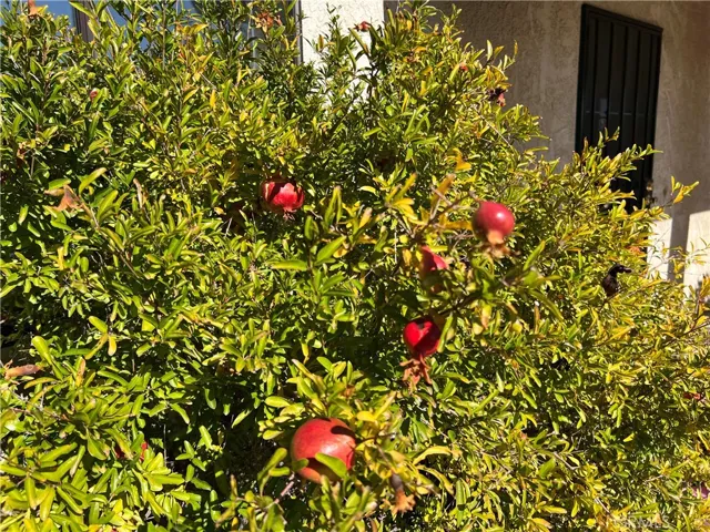 15898 Lime Street, Hesperia, California 92345