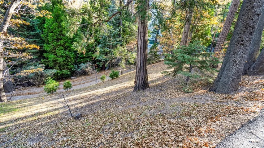 369 Jasmine Lane, Lake Arrowhead, California 92352