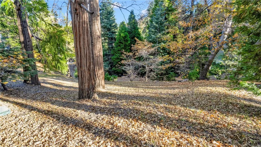 369 Jasmine Lane, Lake Arrowhead, California 92352
