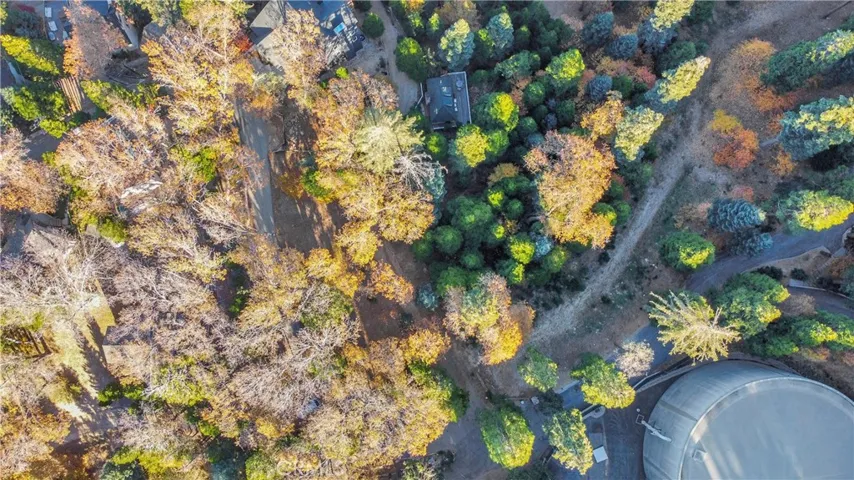 369 Jasmine Lane, Lake Arrowhead, California 92352