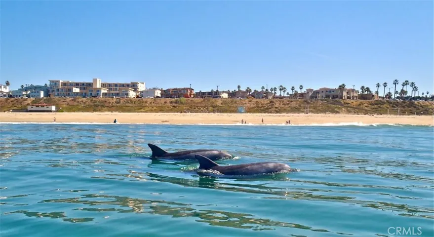 Things to do in South Redondo