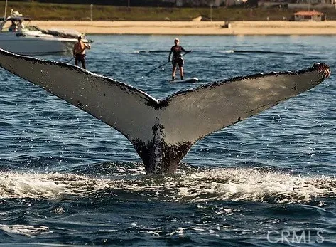 Things to do in South Redondo
