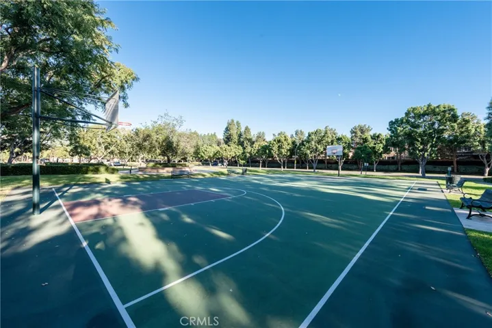38 Daisy, Irvine, California 92618