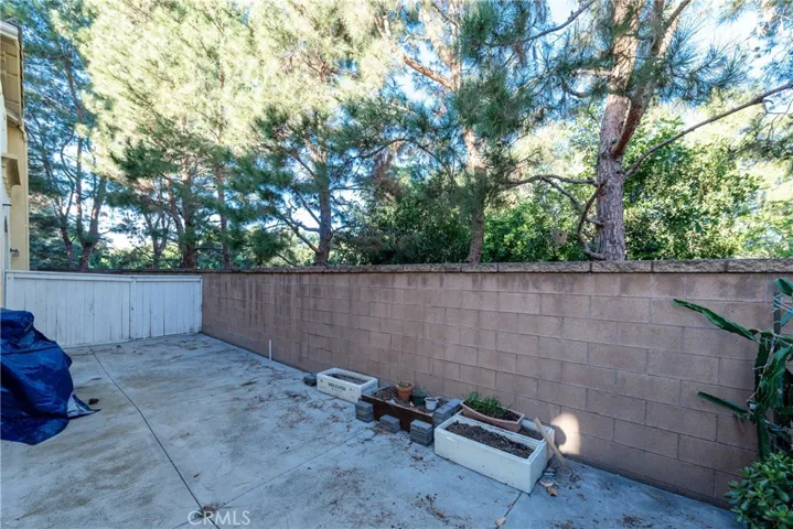38 Daisy, Irvine, California 92618