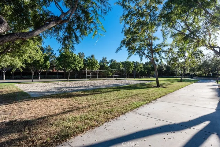 38 Daisy, Irvine, California 92618