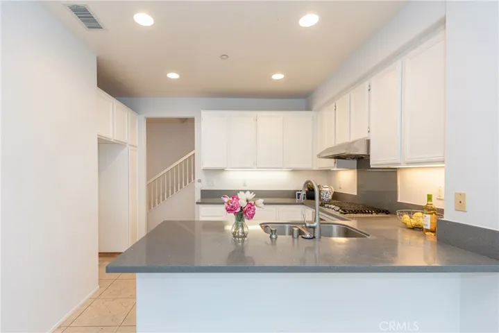 38 Daisy, Irvine, California 92618