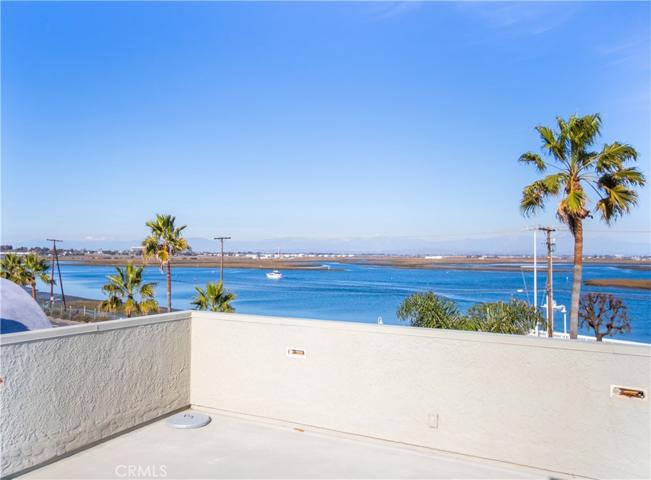 Harbour Views from Rooftop