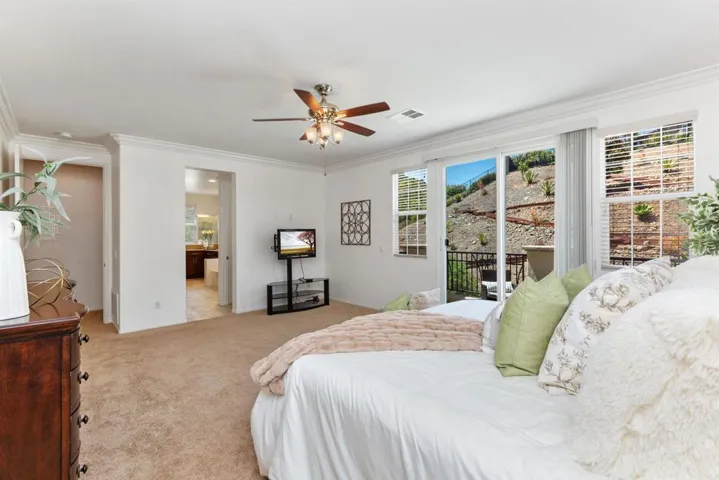 1062 Vega Way, San Marcos, California 92078