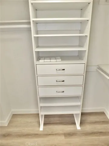 Large closet with built-ins