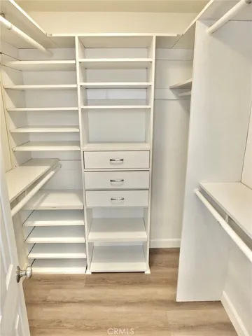 Primary bedroom walk-in closet with built-ins