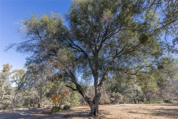 4880 Hidden Springs Road, Mariposa, California 95338