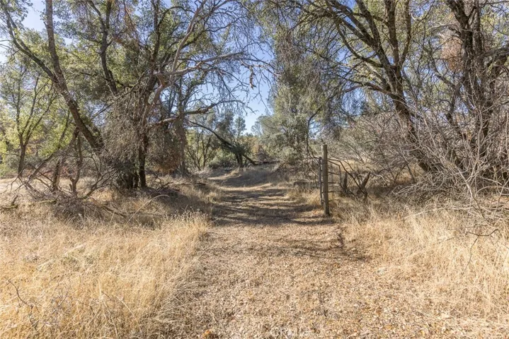 4880 Hidden Springs Road, Mariposa, California 95338