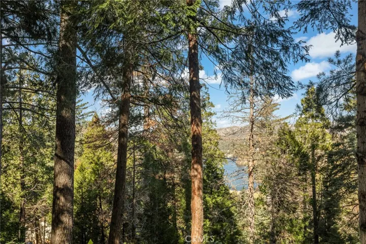 24620 Bernard Drive, Crestline, California 92325