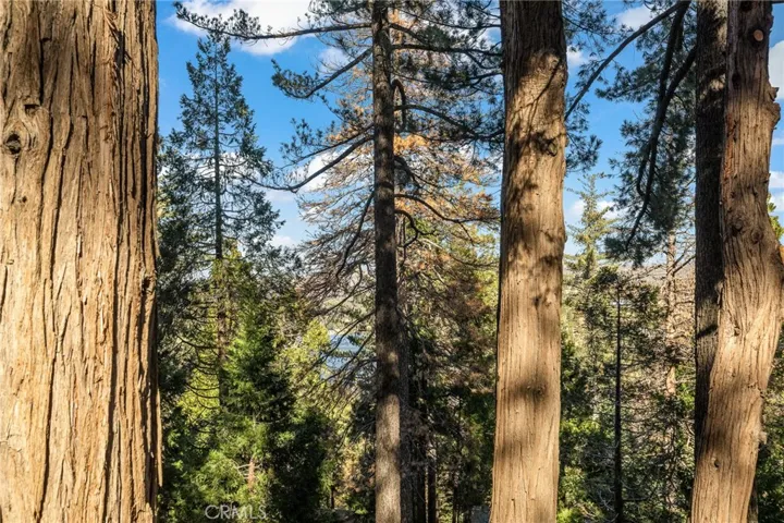 24620 Bernard Drive, Crestline, California 92325