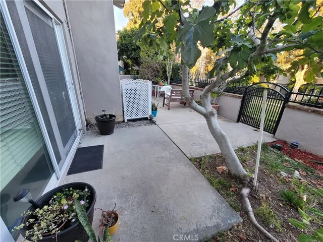 Rear Patio