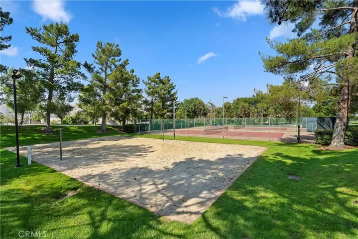 Volleyball and Tennis Court