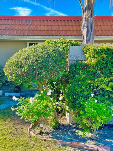 23466 Los Adornos, Aliso Viejo, California 92656