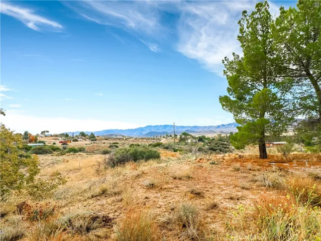 60821 Indian Paint Brush, Anza, California 92539