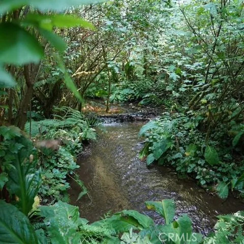 Strawberry Creek