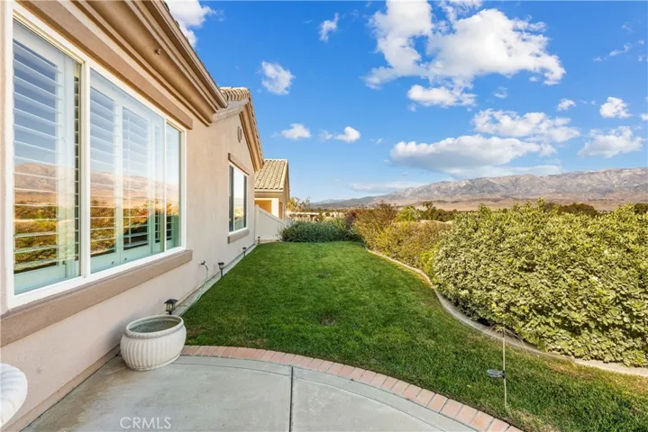Grassy Area in Back Yard