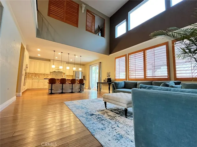 Living room and kitchen