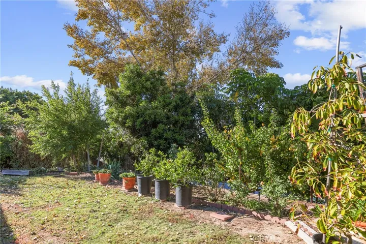 26201 Avenida Bonachon, Mission Viejo, California 92691