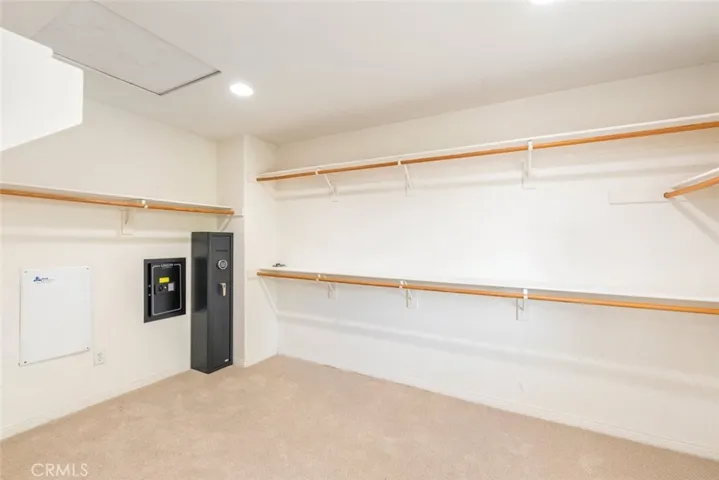 Owner's Walk in Closet