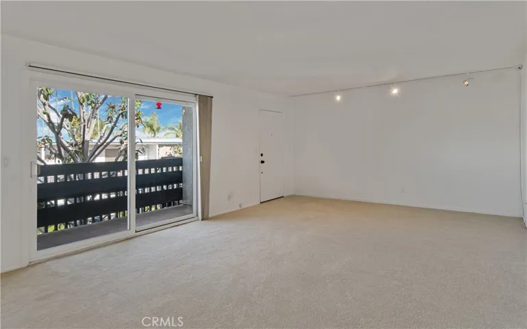Brand new carpet