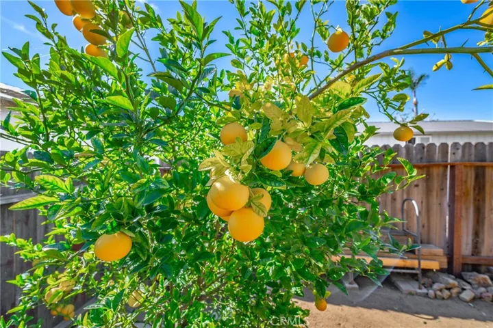 20052 E Santiago Canyon Road, Orange, California 92869