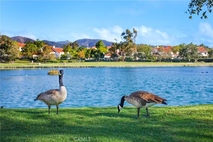 2 Danta, Rancho Santa Margarita, California 92688