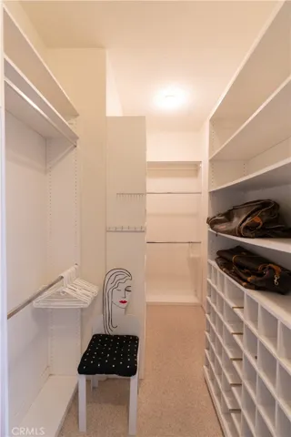 The master bedroom has a huge walk in closet with lots of storage and built in shelves