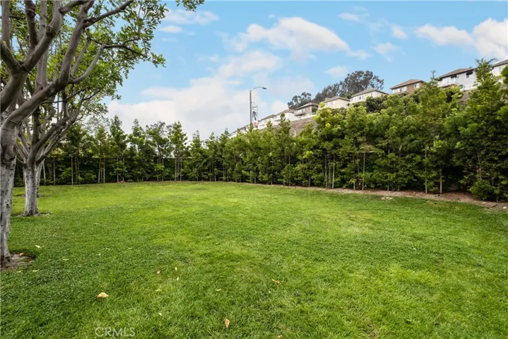 Grassy area at Main Pool