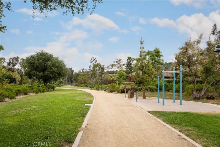 Sycamore Trail